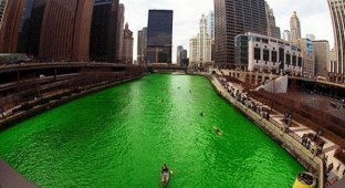 Изумрудные воды Чикаго (11 фото)