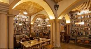 Нора для книжных червей: изумительная гостиница-библиотека (12 фото)
