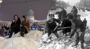 В Петербурге жители жалуются на плохую уборку снега: даже в блокаду такого не было (8 фото + видео)