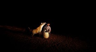Заклинатель гиен из Эфиопии (7 фото)