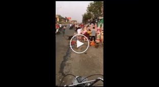 Масштабная схватка уличных торговок и бездомных псов попала на видео во Вьетнаме