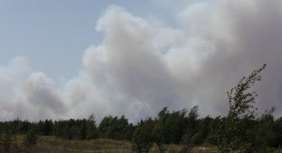 Работа по тушению пожаров в Волгоградской области (49 фото)