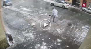 В Петербурге рухнувший с крыши кусок льда убил собаку на глазах у ее юной хозяйки
