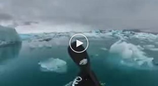 Отважный парень рассекающий по водам где много айсбергов