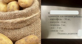 Родителей брянских школьников попросили сдать по два мешка картошки (5 фото)