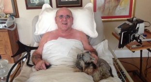 Предсмертный пост в Facebook перед эвтаназией прославил 62-летнего пенсионера (3 фото)