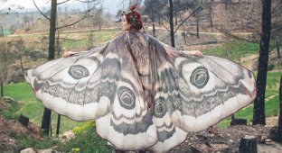 Потрясающие расписанные вручную платки, которые подарят вам крылья бабочки за спиной (14 фото)