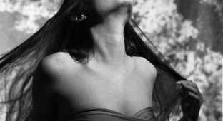 Красотка Анджелина Джоли (11 фото)