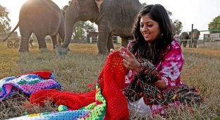 Индийских слонов спасают от холодов теплыми костюмами (6 фото)