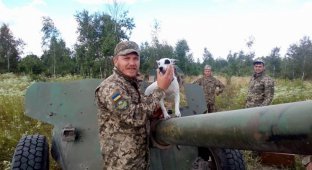 Чем занимаются на Донбассе лучшие друзья бойцов АТО 24