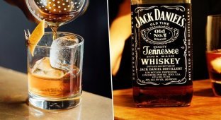 Бренд Jack Daniel's ищет дегустаторов (6 фото)