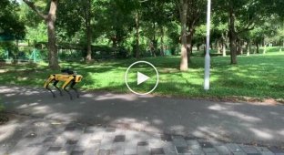 Робопес контролирует людей в сингапурском парке