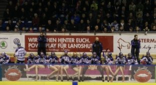 В Германии хозяйка борделя спонсирует хоккейную команду (4 фото)