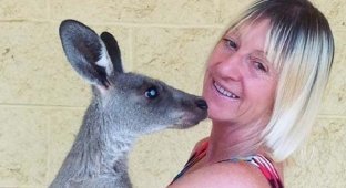 В Австралии кенгуру жестоко избил женщину (3 фото)