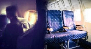 «Просто свинья»: мужчина ужаснул пассажиров самолета своими действиями (3 фото)