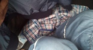 Молодоване пытались вывезти из Украины младенца в сумке между сидениями авто