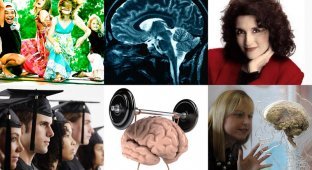 10 фактов о человеческом мозге (10 фото)