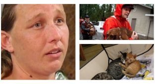Женщину, спасшую во время наводнения кошек и собак, арестовали за организацию стихийного приюта (7 фото)