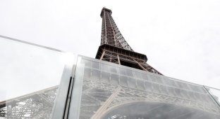 Эйфелеву башню закроют бронированным стеклом (2 фото)