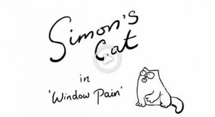 Кот Саймон и окно