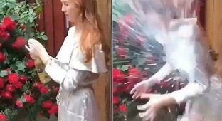 Рыжая девушка неудачно откупорила бутылку с шампанским (4 фото + 1 видео)