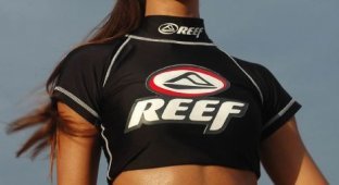 Конкурсантки шоу Мисс Reef (84 фото)