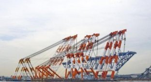 Как строят мосты в Японии (4 фото)
