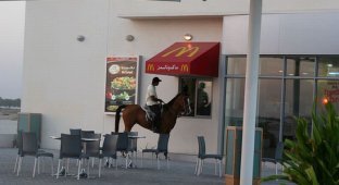 Люди в колясках и на лошадях в макдрайвах (18 фото)