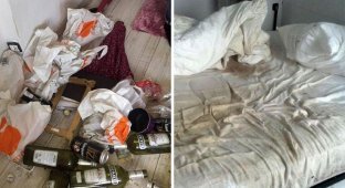 Как выглядит комната после самого худшего гостя в истории (10 фото)