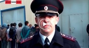 Российская полиция раскрыла тайну исчезновения тараканов