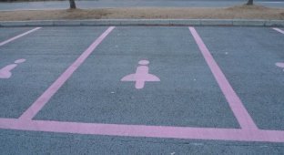 Китайцы вводят парковочные места для женщин (6 фото)