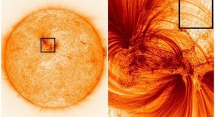 Невероятно детальный снимок Солнца помог впервые рассмотреть его атмосферу (6 фото)