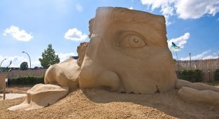 Фестиваль песчаной скульптуры в Берлине (24 фото)