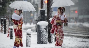 Отопление в Японии (16 фото)