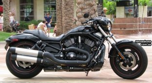 Harley-Davidson (12 фото)