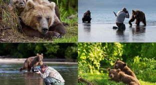 Медведи на Камчатке (27 фото)