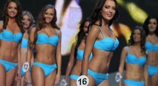 Мисс Украина 2010 (21 фото)