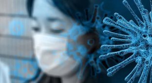 В Японии зафиксировали первую смерть от коронавируса
