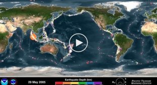 Метеорологи собрали все данные по земелтрясениям и показали их на видео
