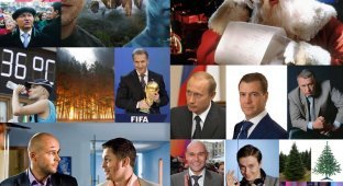 Опрос ВЦИОМ «Герои и события 2010 года в оценках россиян» (12 фото)