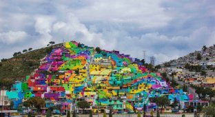 Мексиканские власти попросили уличных художников разрисовать дома (11 фото)