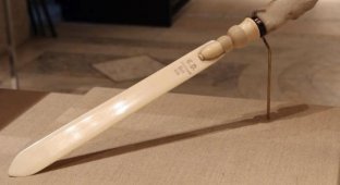 Декоративный ножик писателя Чарльза Диккенса с рукояткой из кошачьей лапы (3 фото)
