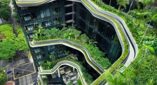 Уникальный сад на фасаде отеля в Сингапуре (27 фото)