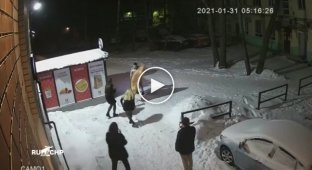 Житель Костромы подрался в 5 утра с гигантским чебуреком