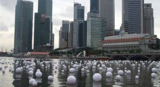 Новогодняя традиция в Сингапуре (10 фото)