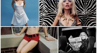 Дебби Харри - секс-символ эпохи 70-80х (25 фото)