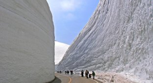 Коридор из снега высотой 20 метров (8 фото)