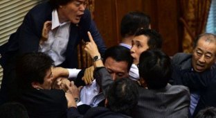 Японские парламентарии устроили эпический мордобой (11 фото)