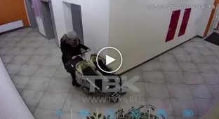 Красноярка пыталась украсть коляску из подъезда, но не прошла с ней в двери