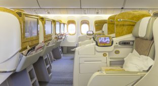 DeLuxe инкубатор от Emirates airline (19 фото)